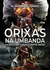 Orixás na Umbanda: Um Deus, Sete Linhas e Muitos Orixás na internet