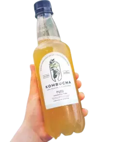 Kombucha. Pepino y Albahaca. 440 ml - FUZU