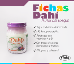 Yogur (descremado/entero) - DAHI - comprar online