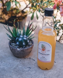 Kombucha. Pepino y Albahaca 1 lt - FUZU - comprar online