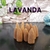 Lavanda – Incenso Cascata Cone Pacote com 12 unidades