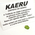 Kaeru Verde – Sapo da Saúde - Talismã