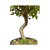 Pré Bonsai de Acer Kaede - 8 anos - comprar online