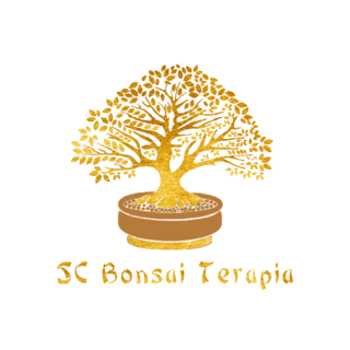 Bonsai  - SC Bonsai Terapia