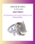 Anillo con Ametrino Natural con flores en Plata.925 con baño de Rodio. - comprar en línea