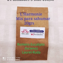 MIX PARA SAHUMAR 20 GRS en internet