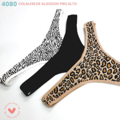 VI4080-Colaless de algodón & lycra tiro alto