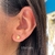 Arete concha