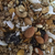 Granola Noa x500g