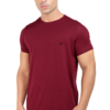 CAMISETA PREMIUM BORDO