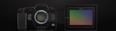 Câmera BLACKMAGIC Cinema 6K FULL FRAME na internet