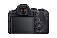 Câmera EOS R6 Mark II + RF 24-105mm f/4L IS USM - Loja de Equipamentos Fotográficos | Elis Portela