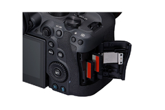 Imagem do Câmera EOS R6 Mark II + RF 24-105mm f/4L IS USM