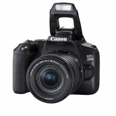 Câmera Canon EOS 250D Kit 18-55mm IS STM - Loja de Equipamentos Fotográficos | Elis Portela