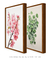 Conjunto com 2 Quadros Decorativos - floral - comprar online