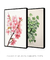 Conjunto com 2 Quadros Decorativos - floral - Quadro cores | quadros decorativos para sala, modernos e grandes