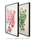 Conjunto com 2 Quadros Decorativos - floral - Quadro cores | quadros decorativos para sala, modernos e grandes
