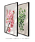 Imagem do Conjunto com 2 Quadros Decorativos - floral