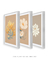 Conjunto de quadros decorativo floral minimalista - Quadro cores | quadros decorativos para sala, modernos e grandes