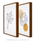Conjunto de quadros decorativos para sala modernos, flores - comprar online