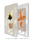 Kit 2 Quadros decorativos modernos - loja online