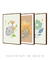 Kit de quadros decorativos floral para sala na internet