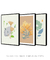Kit de quadros decorativos floral para sala - Quadro cores | quadros decorativos para sala, modernos e grandes