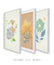 Kit de quadros decorativos floral para sala - Quadro cores | quadros decorativos para sala, modernos e grandes