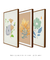 Kit de quadros decorativos floral para sala - comprar online