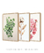 Quadro Decorativo 3 Telas - florais - Quadro cores | quadros decorativos para sala, modernos e grandes