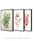 Quadro Decorativo 3 Telas - florais - comprar online