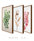Quadro Decorativo 3 Telas - florais - comprar online