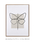 Quadro decorativo borboleta linha única - loja online