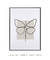 Quadro decorativo borboleta linha única na internet