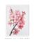 Imagem do Quadro decorativo Cherry blossom