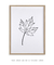 Quadro decorativo Maple Tree line na internet