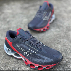 Mizuno prophecy 12