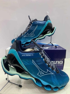 Mizuno prophecy x