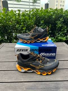 Mizuno prophecy 13