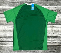 Camiseta de Arquero de Afa Verde Homenaje 50 años - comprar online