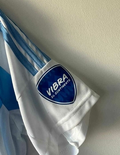 Camiseta de la Seleccion Argentina 2024 (L. Messi) en internet