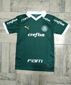 Camiseta de Palmeiras