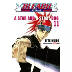 Bleach #11