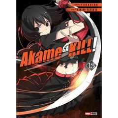 Akame Ga Kill #13