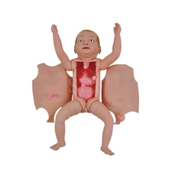 Manequim Bissexual Bebê C/ Órgãos Internos P/ Treino de Enfermagem SD-4001 - comprar online