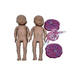 Simulador de Parto Gemelar com Placenta e Cordão Umbilical SD-4010 - Mix Anatomy - Simuladores e Modelos Anatômicos