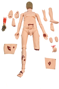 Simulador de Trauma Básico Adulto Bissexual c/ Órgãos Internos SD-4000/1-B - comprar online