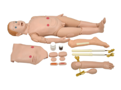 Manequim Bissexual Infantil de 3 a 5 anos C/ Órgãos P/ Treino de Enfermagem SD-4000/INF - comprar online