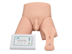 Simulador de Cateterização Vesical Bissexual Eletrônico SD-4004