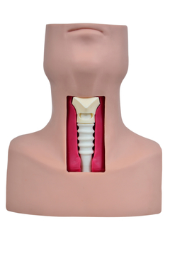 Simulador de Traqueostomia SD-4047 - comprar online